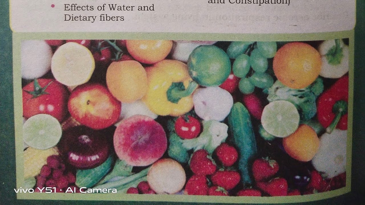CARBOHYDRATES Components of Human Food 9th class Biology YouTube
