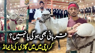 Karachi Mandi Main Gari Chiya - Biggest Trend Cow Mandi Karachi 2026 - Qurbani 2026 - Hot Topic 2026