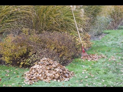 Comment utiliser les feuilles mortes au jardin ? - Blog jardin