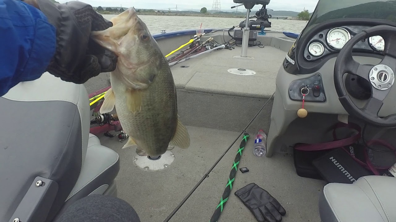 Nickajack Bass Fishing - Spawning - YouTube
