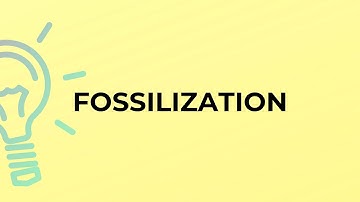 What is the meaning of the word FOSSILIZATION?