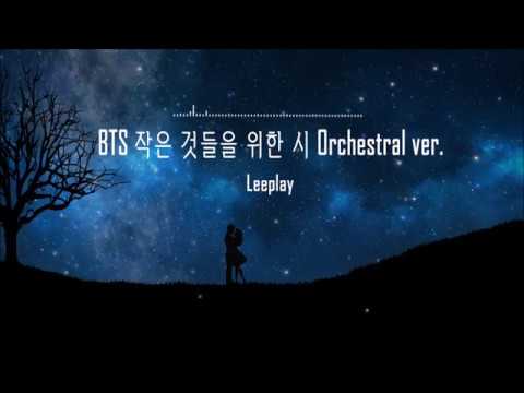 BTS (방탄소년단) 작은 것들을 위한 시 (Boy With Luv) Orchestral cover