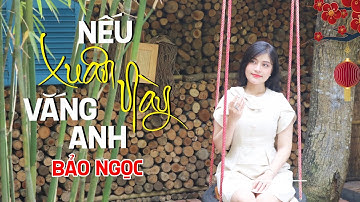 NẾU XUÂN NÀY VẮNG ANH - Bảo Ngọc | Nhạc Xuân Quý Mão 2023