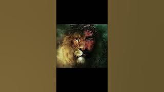 sponge's #christianmessage #jesus #goodfealing