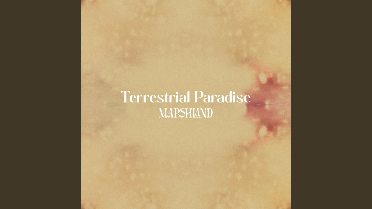 Forest Footsteps (Loopable Nature)