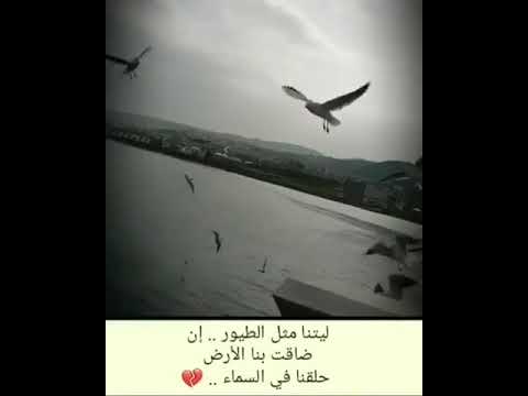 بعض خيبات الامل لايرضيها الا الصمت