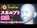 【Blender 2.93 Tutorial】キャラクター頭のスカルプト解説 - How to sculpt a character's head