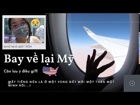Video Quay Lại Mỹ Giữa Mùa Dịch I Flight Routine I Review... - youtube