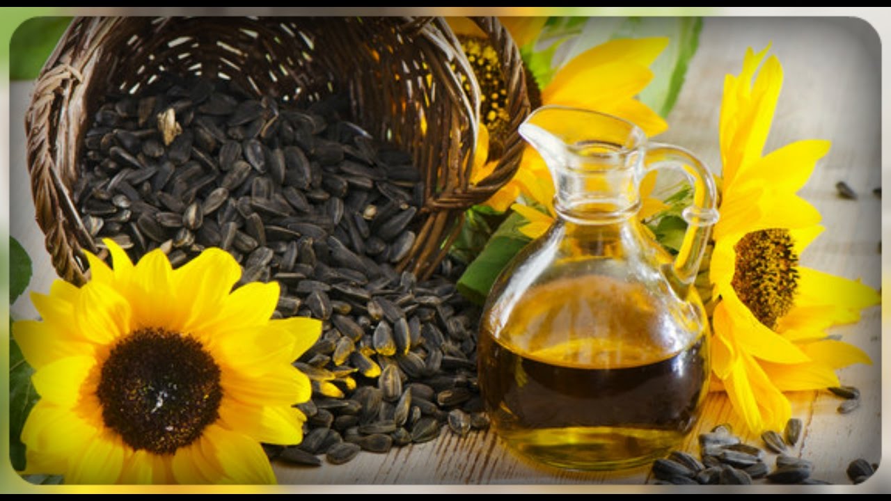 Лечебные свойства подсолнечного масла, рассасывание масла