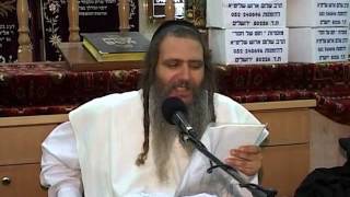 תנו חיוך - הרב שלום ארוש - רגל עגל
