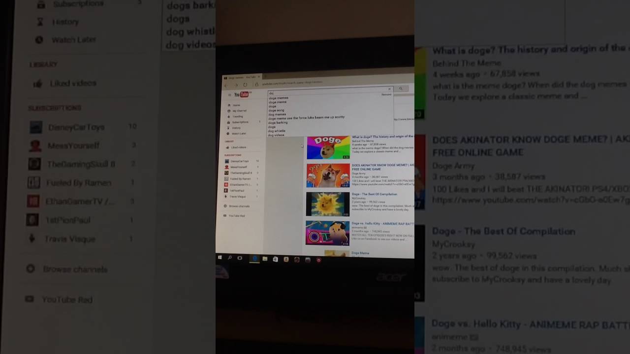 What Happens When You Type Doge Meme YouTube
