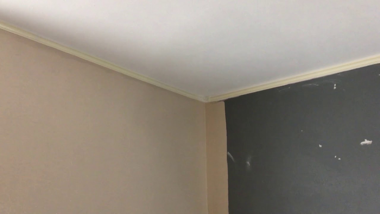 Painting Walls 2 Coats Pro Mar 200