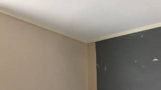 Painting Walls 2 Coats Pro Mar 200