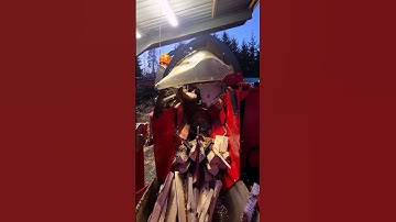 Best Log Splitter #firewood #splitter