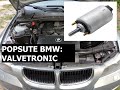 Niebieskie popsute bmw N46- Valvetronic dead