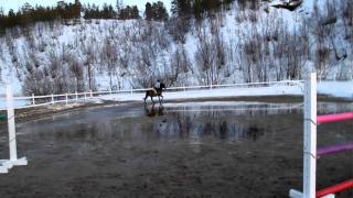 Saija Og Marco Max 110 Cm