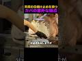 天然の日焼け止めを持つカバの意外な弱点