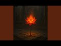 When Kingsflame Bloomed