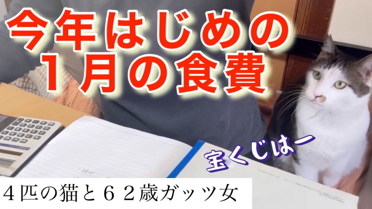 【猫と貧乏女】縁起の良い数字で、いきます。今年最初の食費は、、、