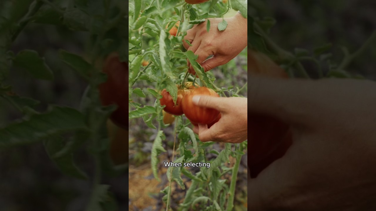 How to Pick the Freshest Produce