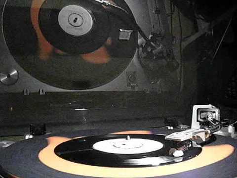 The Man Who Sold The World- The Wally Brothers