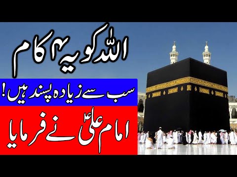 ye-4-kam-allah-ko-pasand-hin-|-hazrat-imam-ali-as-qol-|-allah-loves-these-things-|-mehrban-ali