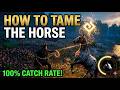 Crimson Desert How to Tame Horse in tamil in 40s #crimsondesertgameplay #crimsondeserttamil