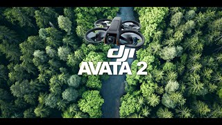 Into the Woods: FPV Excursion with AVATA 2