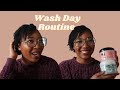 I used these BLACK OWNED Natural hair products for an EPIC Wash Day!