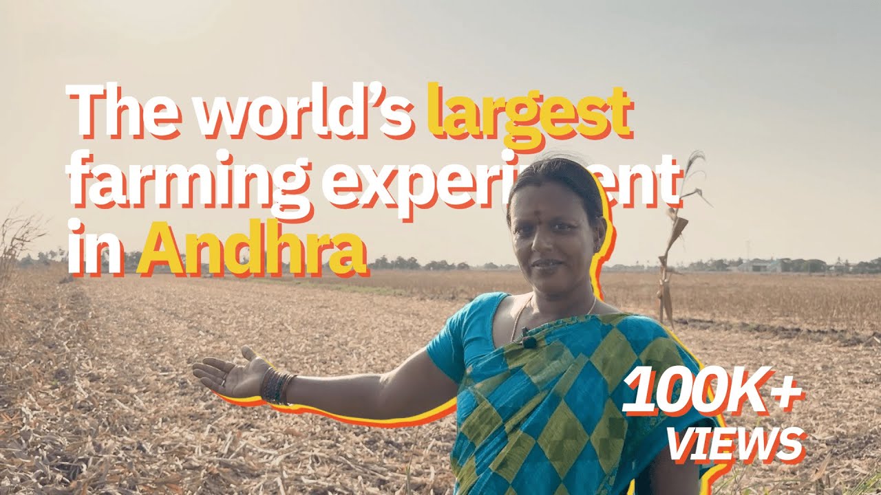 Andhra Pradesh wants to become a 100% Natural Farming state | Good idea or crazy?