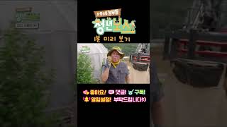 (청년보스_16회) 감자 수확은 줍는 게 문제?! #shorts