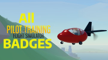 How to get ALL of the PTFS badges! (Roblox)