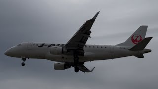 2026/04/09　JL2172　JA226J