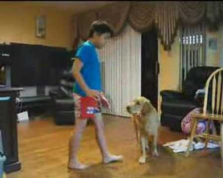 Christine and Vincent training Golden Retriever