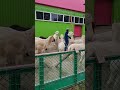 내 밥 어디갔쪙