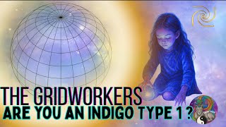 Indigo Type 1 Contract 