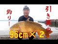 引き算の釣り－琵琶湖・源氏浜の野鯉96cm×2