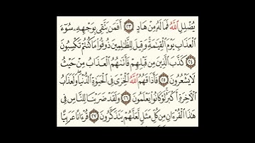 سورة الزمر ٢٤الى٢٧ #سورةالفاتحة #اكسبلور #المصحف #سورةالكوثر #لايك #سورةالاخلاص #الرحمن #تيك_توك