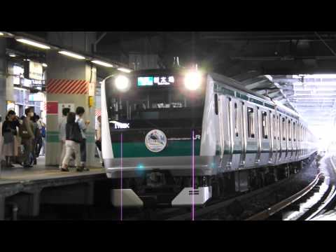 E233系7000番台 埼京線 営業運転開始
