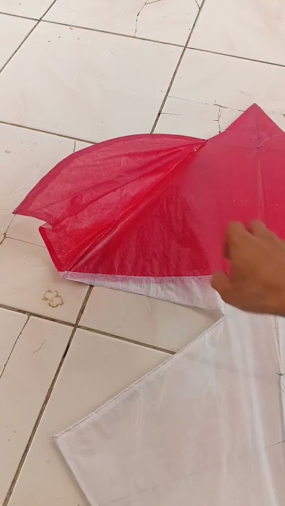 Yah patah guys sayap nya 😭