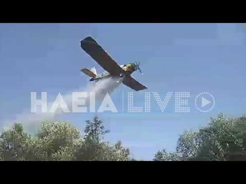 ilialive.gr - Φωτιά