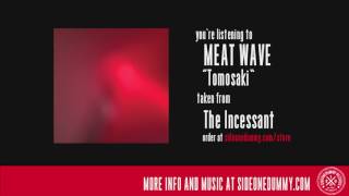 Video thumbnail of "Meat Wave - Tomosaki (Official Audio)"