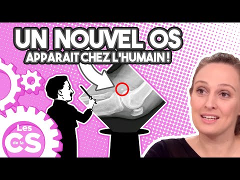 Vidéo: Est-ce que tout le monde a une fabella ?