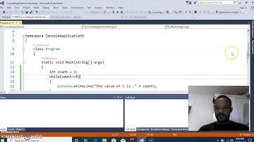 While loop in console application C#