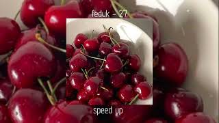 feduk - 27 | speed up