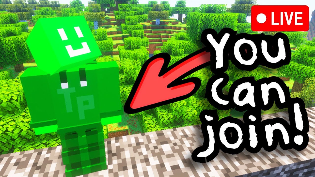 My New Minecraft Server That YOU CAN JOIN! - YouTube