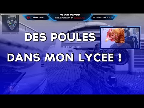 DES POULES DANS MON LYCEE ?