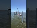 Hurricane-Proof Dock Construction Begins! 16 Pilings Down, 26 to Go 🌊💪 #DockBuilding #HurricaneReady