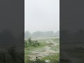 mosam ki barish #shortvideo #youtubeshorts #youtube #trending #trendingshorts #instagram