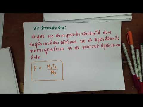 special lesson : การคำนวณประชากร